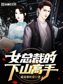 女总裁的下山高手无删减完整版