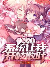 叶开山穿越无删减完整版