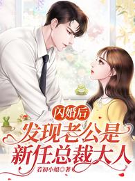 闪婚后,发现老公是新任总裁大人无删减完整版