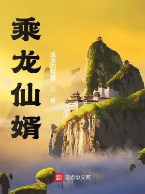 乘龙仙婿全文阅读完整版